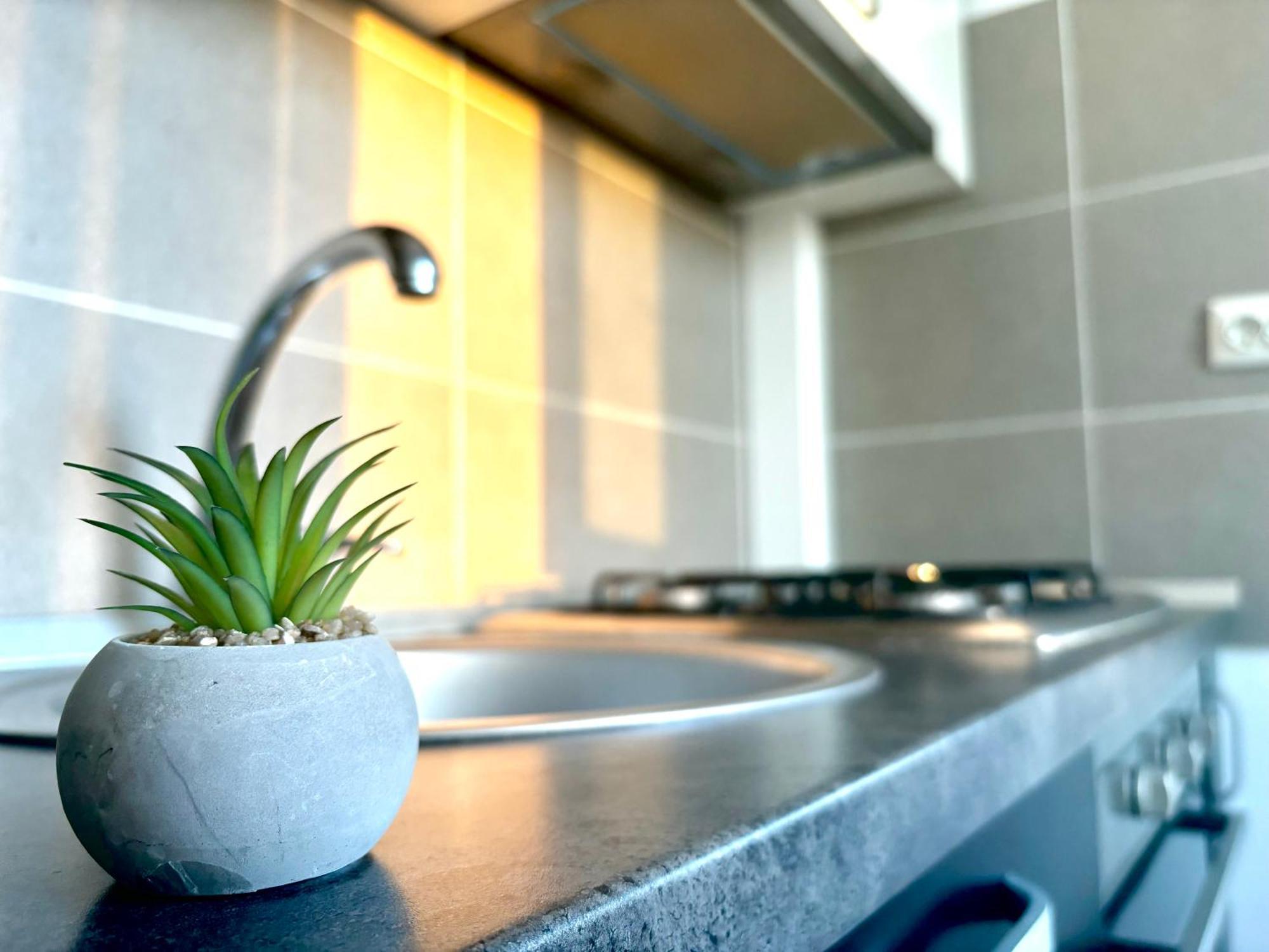 Taste Of Iasi - Two Room Apartment - Central - Sunset Touch 外观 照片